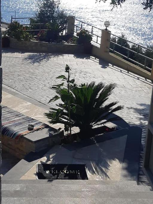 Panos Renos Studio, A Cozy Home By The Beach! Μυρτιές Εξωτερικό φωτογραφία